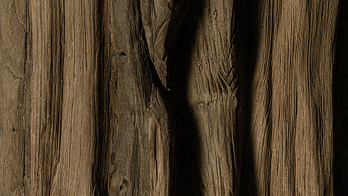 Fold_3 1 4