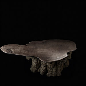 Kelengkeng Table