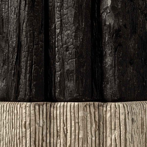 Tane - Console Sugi ban