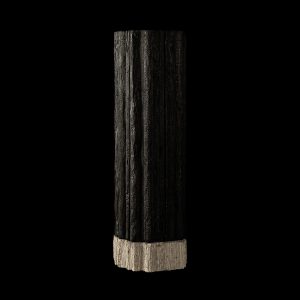 Tane - Console Sugi ban