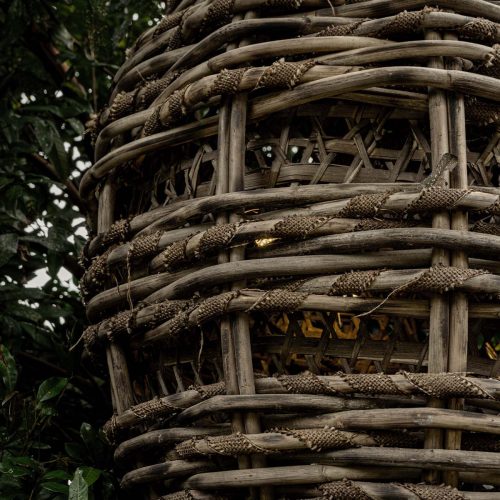 Baobab - Egg Shape