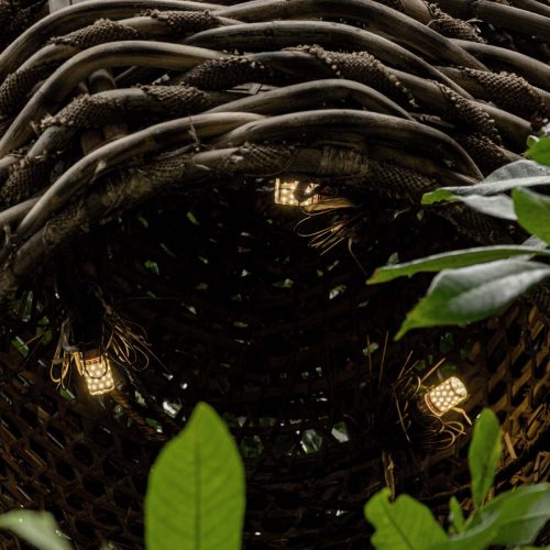 Baobab - Egg Shape