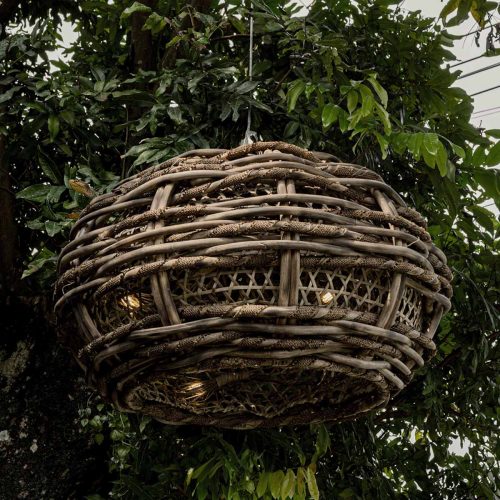 Baobab - Ufo Shape