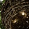 Baobab - Ufo Shape