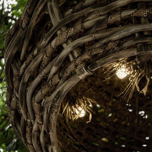 Baobab - Ufo Shape
