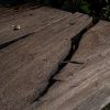Coffee Table - Teak