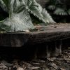Coffee Table - Teak