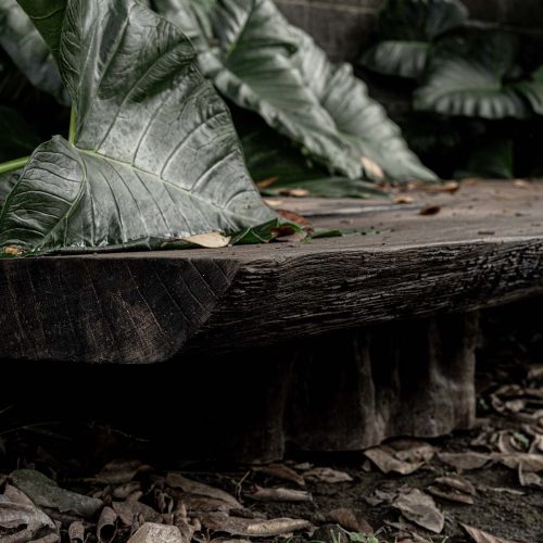 Coffee Table - Teak