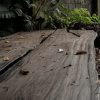Coffee Table - Teak