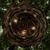 Baobab - Round
