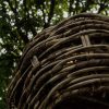 Baobab - Round