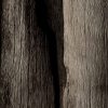 Coco Skin Divider