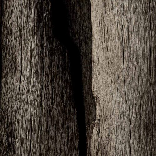 Coco Skin Divider