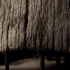 Coco Skin Divider